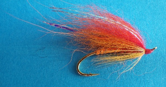 mouche orange'n orange
